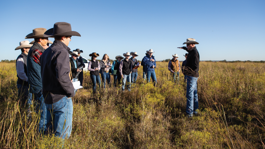 students in a pasture learning about careers in the horse industry
