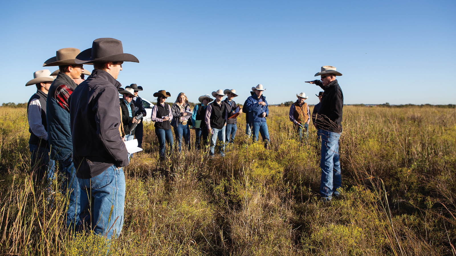 students in a pasture learning about careers in the horse industry
