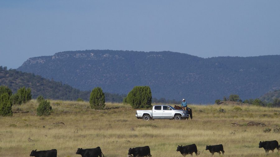 People stop and ask ranchers questions.