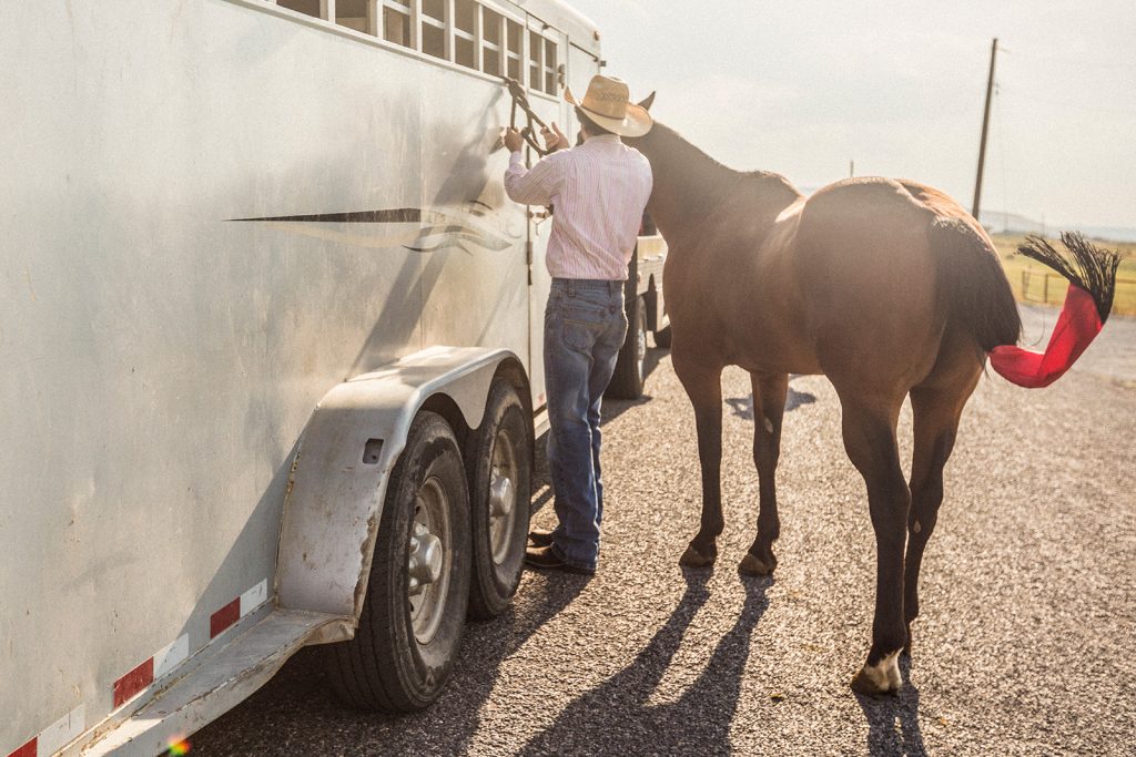 man tying horse to horsetrailer