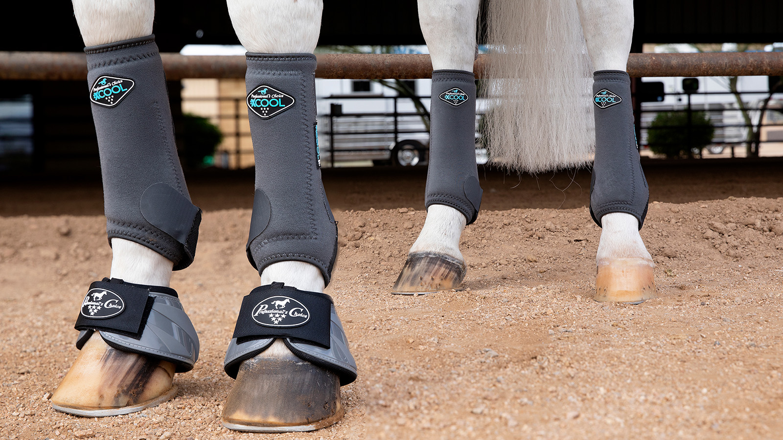 sports medicine horse boots