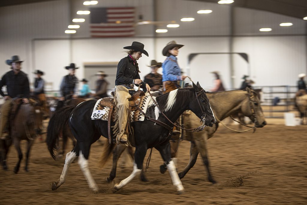 Warming up at a horse show