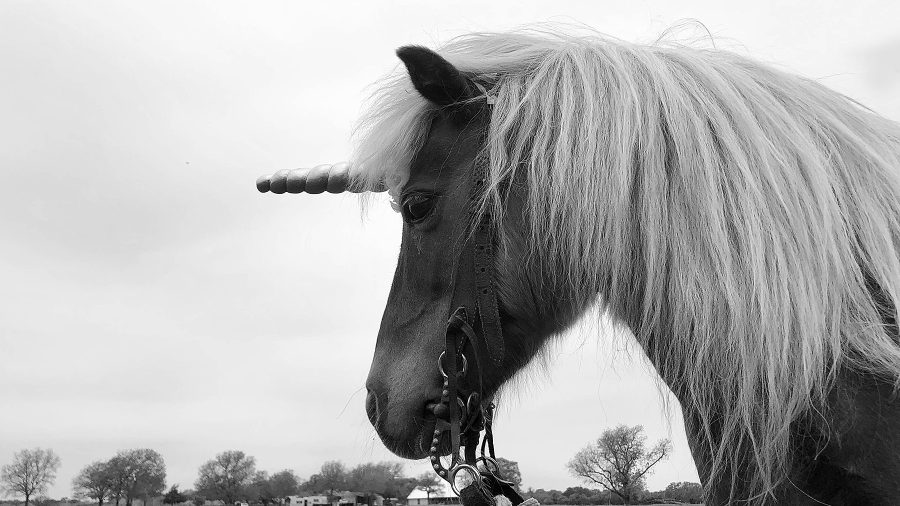 unicorns