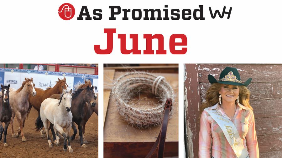 As Promised in the June 2021