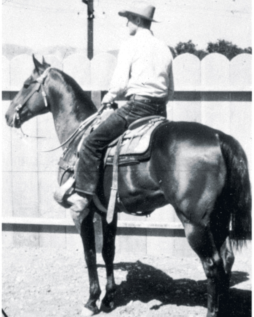 Number six of the top ranch horse bloodlines is Driftwood.
