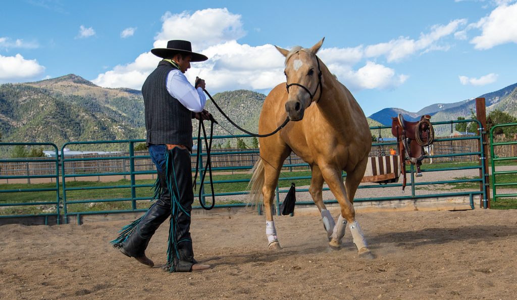 Lara moves the horse around him using a flag.