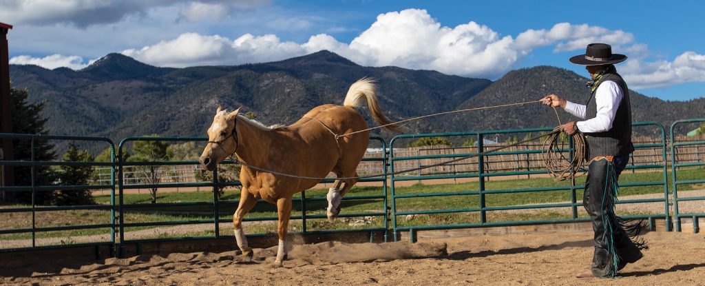 Lara uses a rope to simulate the feel of the saddle and to help prepare a horse for saddling the first time.