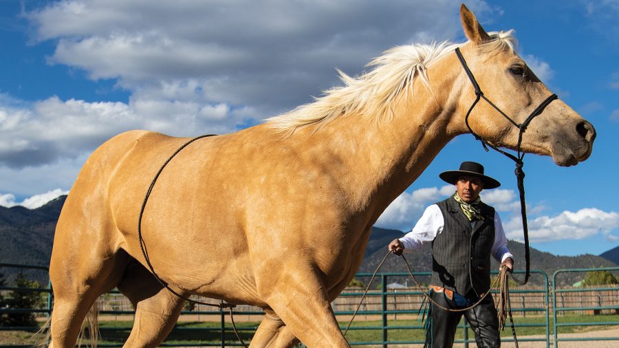 Rudy Lara working a rope on a horse
