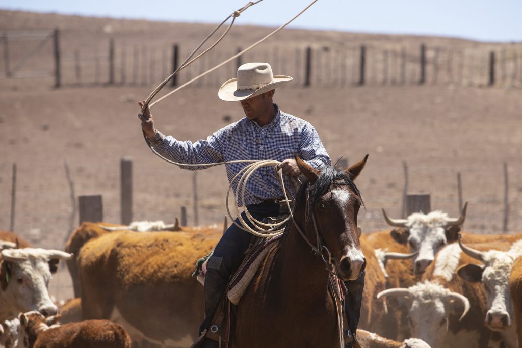 Being a cowboy's wife has perks