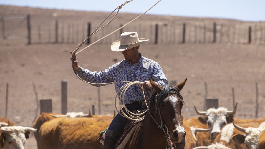 The perks of being a cowboy's wife