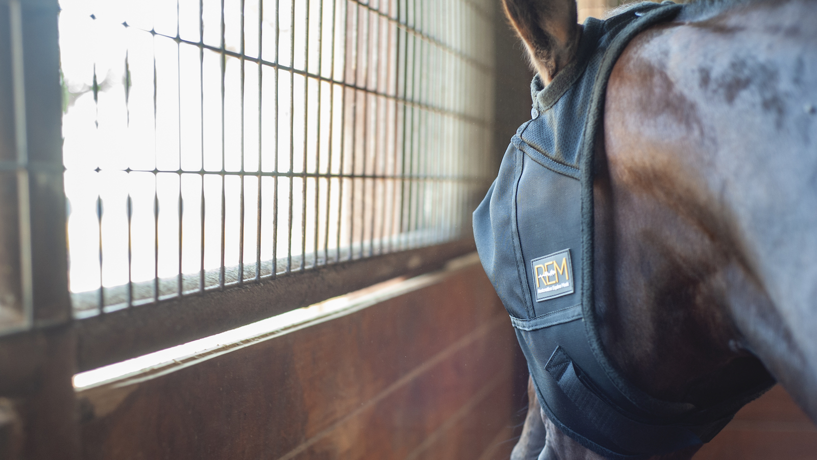 horse wearing REM mask