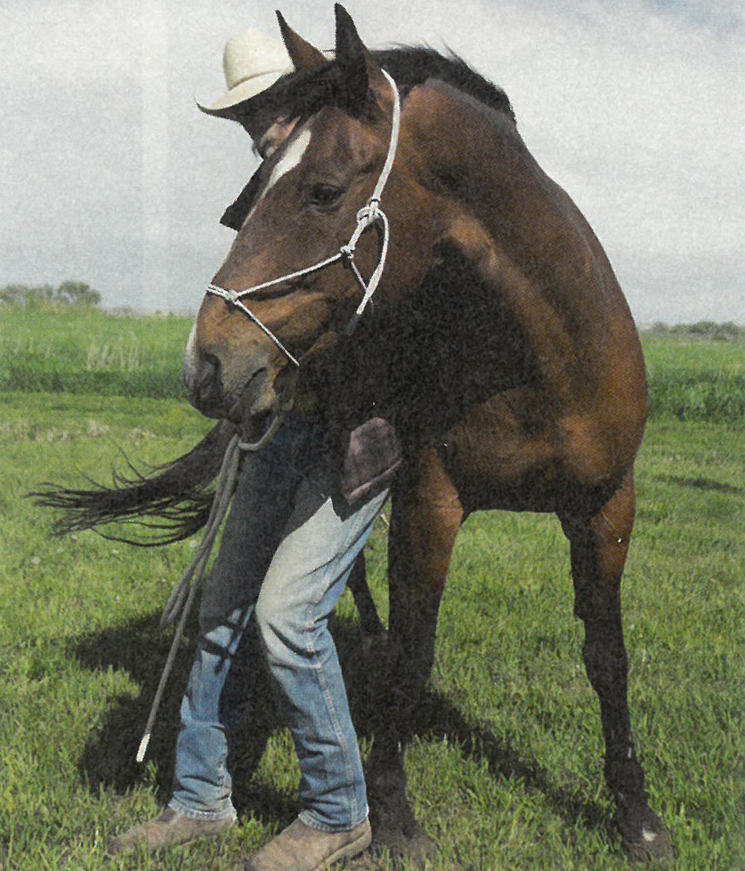 Tarr demonstrates the third point of contact.