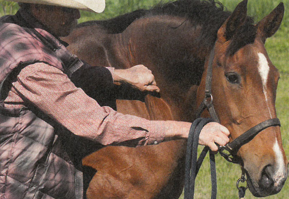 The basic neck twitch is an easy restraint for quick procedures.