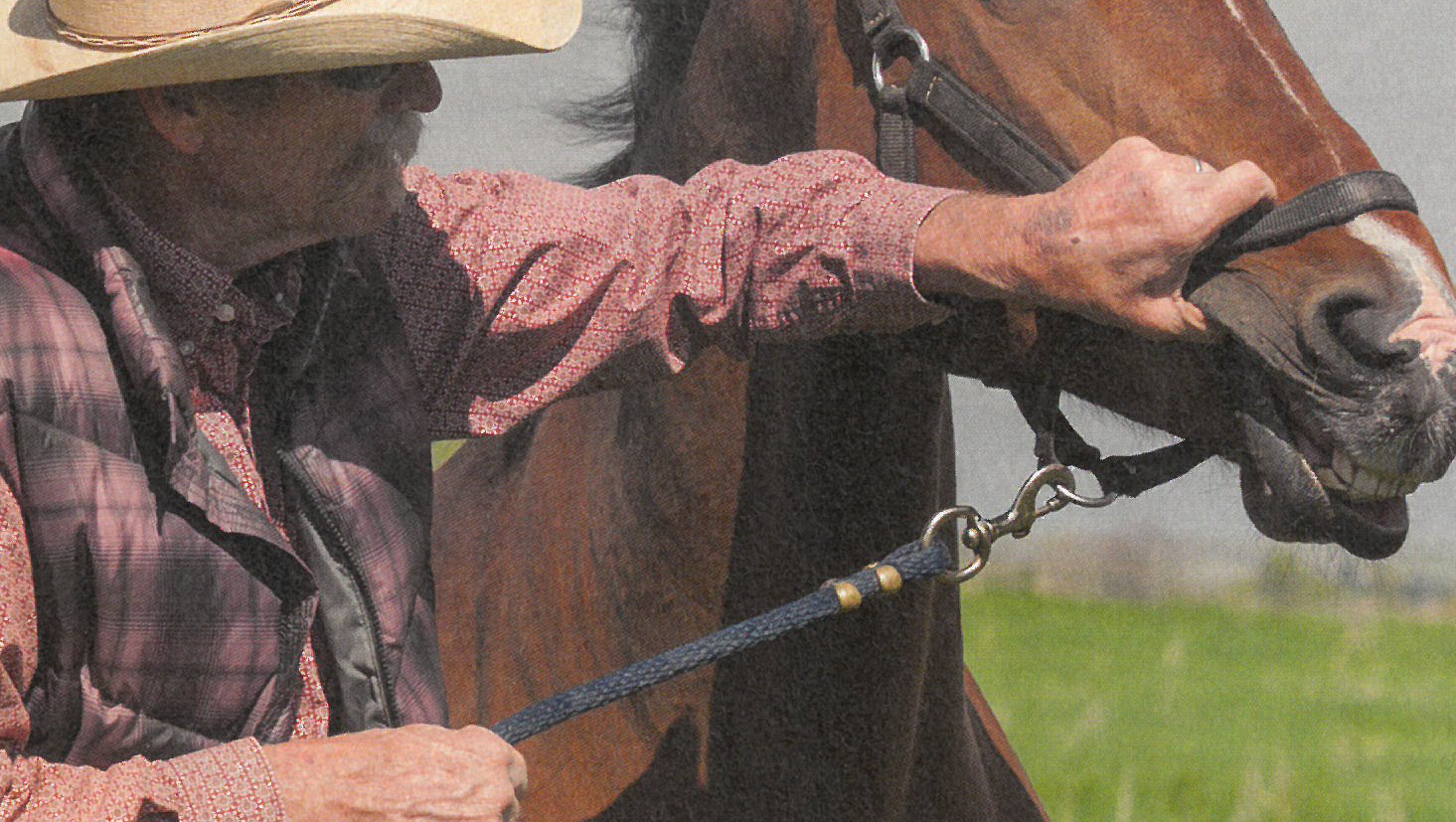 Stacey Tarr demonstrates a way to use your hand to restrain horses for oral medication.