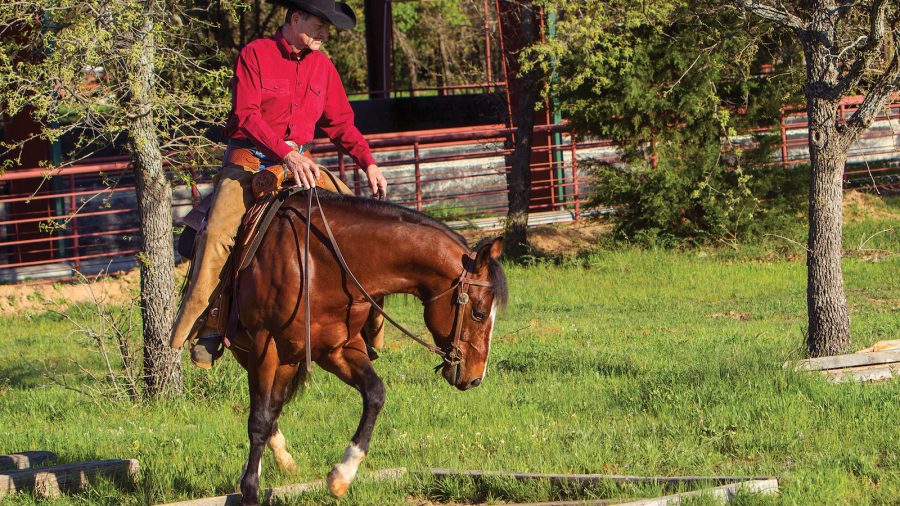 Mike Major guides his horse across a square made of logs.