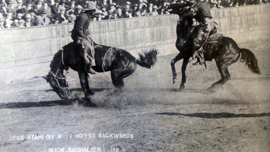 Jesse Stahl riding a bronc backwards during an exhibition ride.