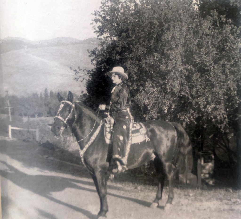 General Ben a registered Morgan Stallion. Steeldust may have been a Morgan.