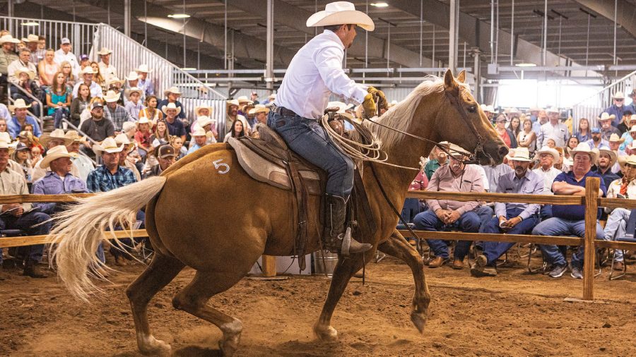 Checklist for horse sales.