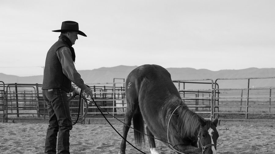 Laying Down a Horse