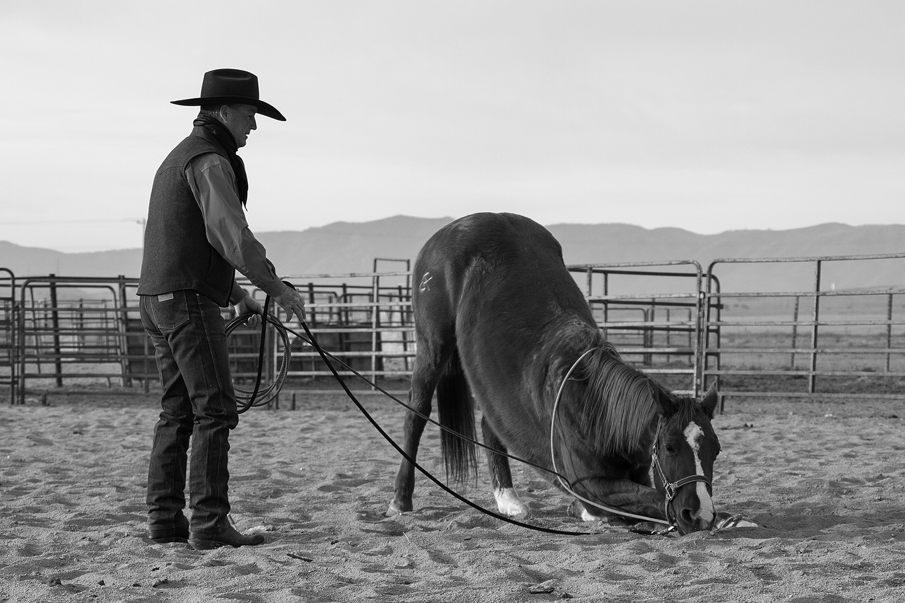 Laying Down a Horse