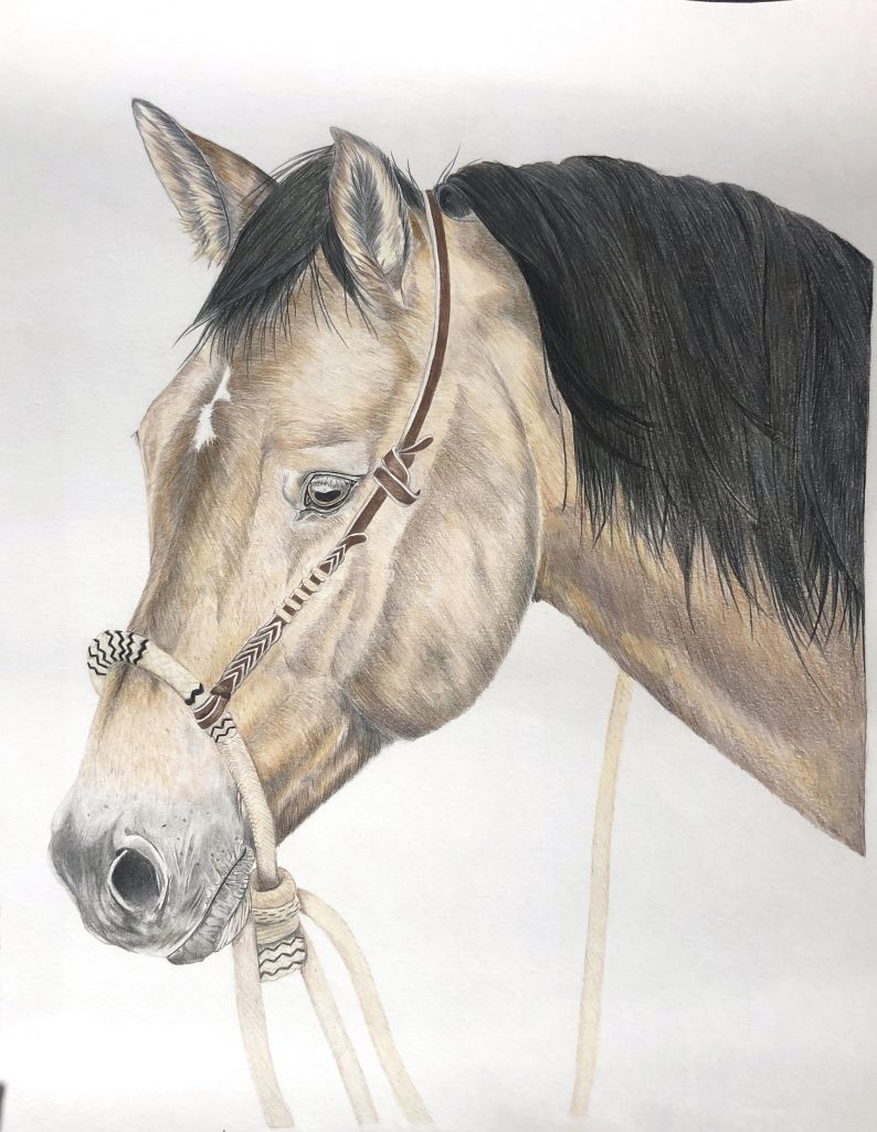 A Kind Eye, by Kylee Johnson