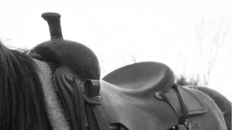 Swell fork saddle