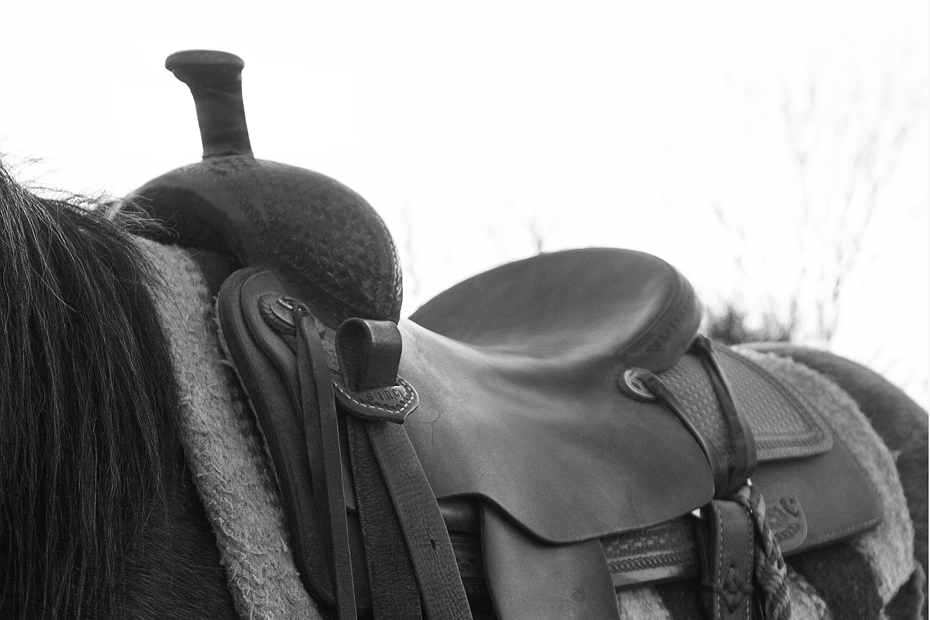 Swell fork saddle