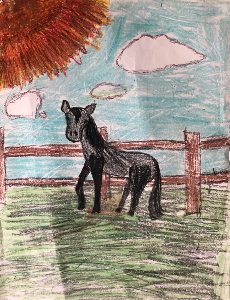 Springtime Colt, by Maggie Collins