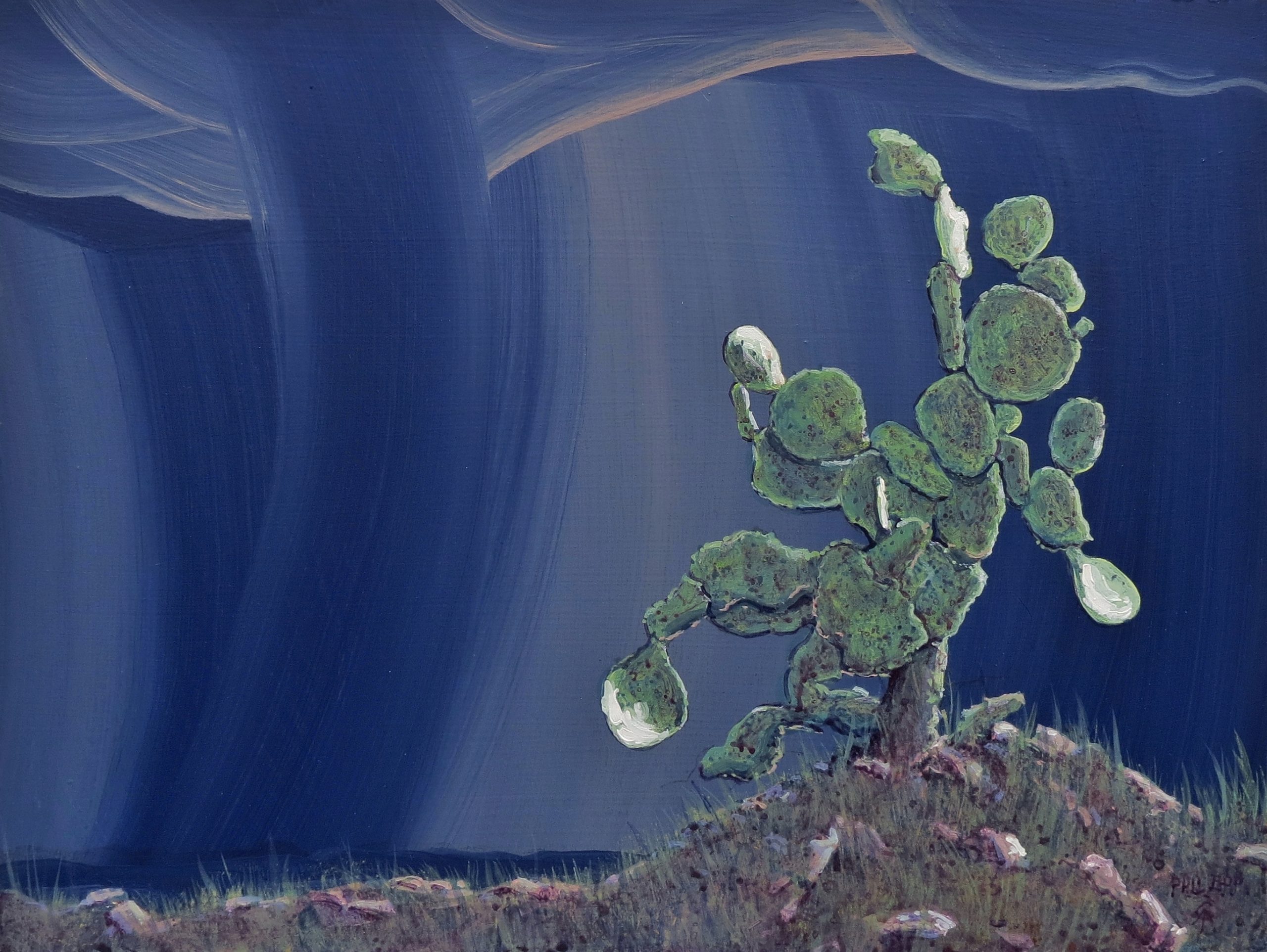 Springtime on the Brazos by Phil Epp