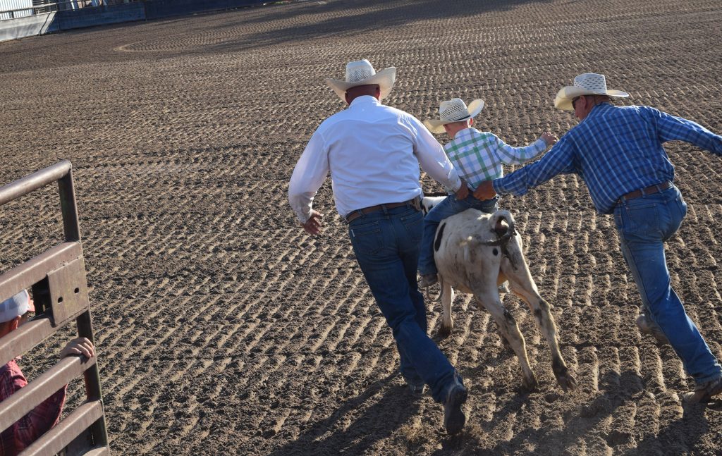 young rough-stock rider