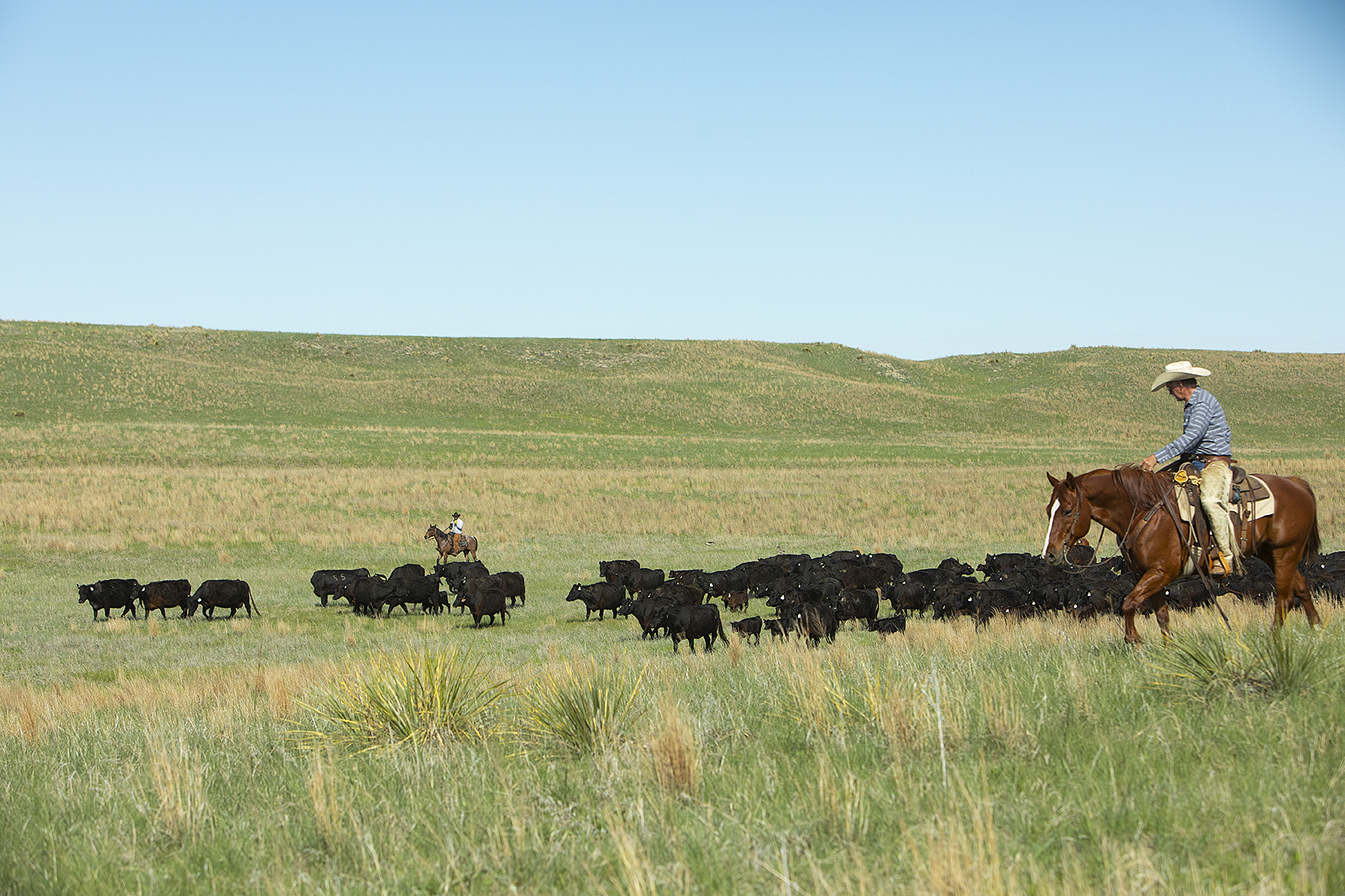 Grazing land is important to ranchers