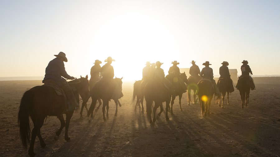 Babbitt Ranch is a northern Arizona cattle ranch
