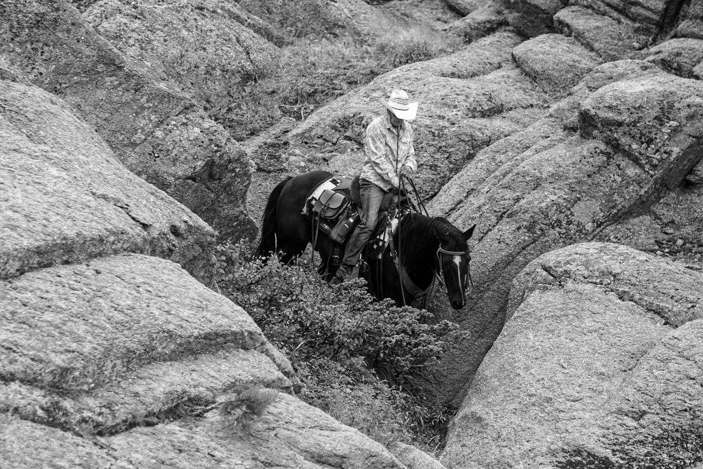 Riding a seasoned horse