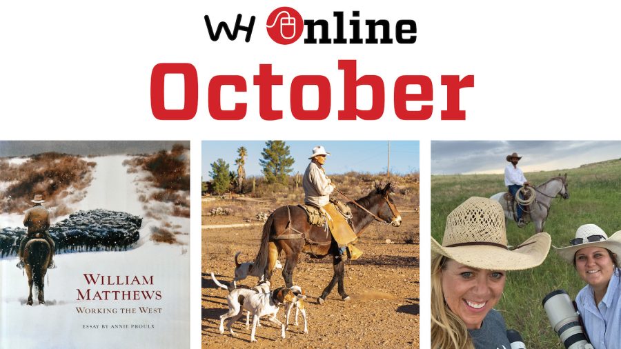 October Online Content