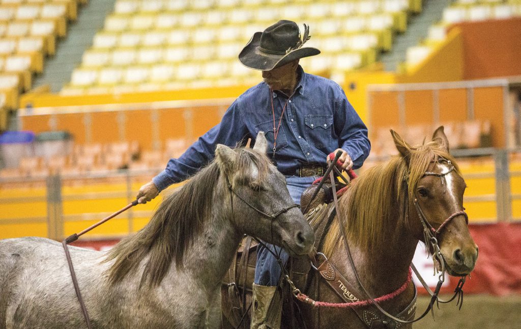 Ponying the young horse around prepares them to be started under saddle.