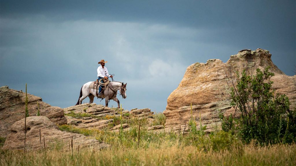 Matt Koch trains cow horses in Colorado.