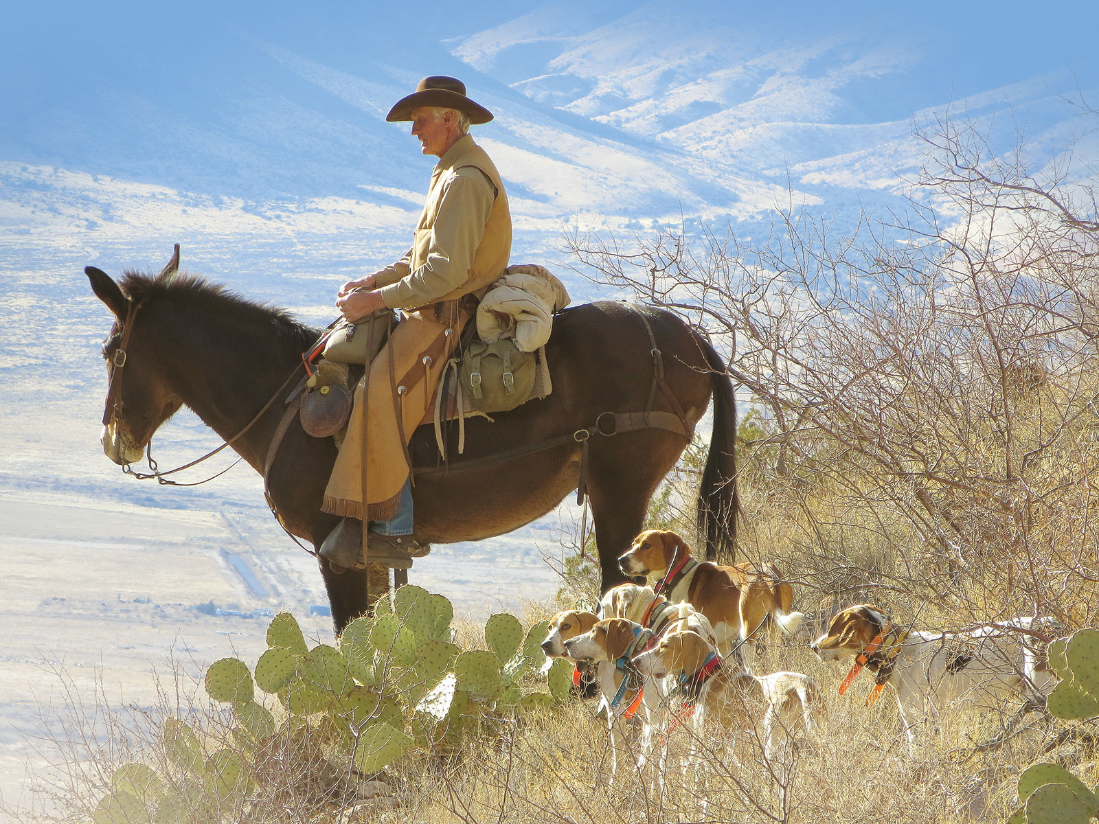 Warner Glenn raised hunting hounds