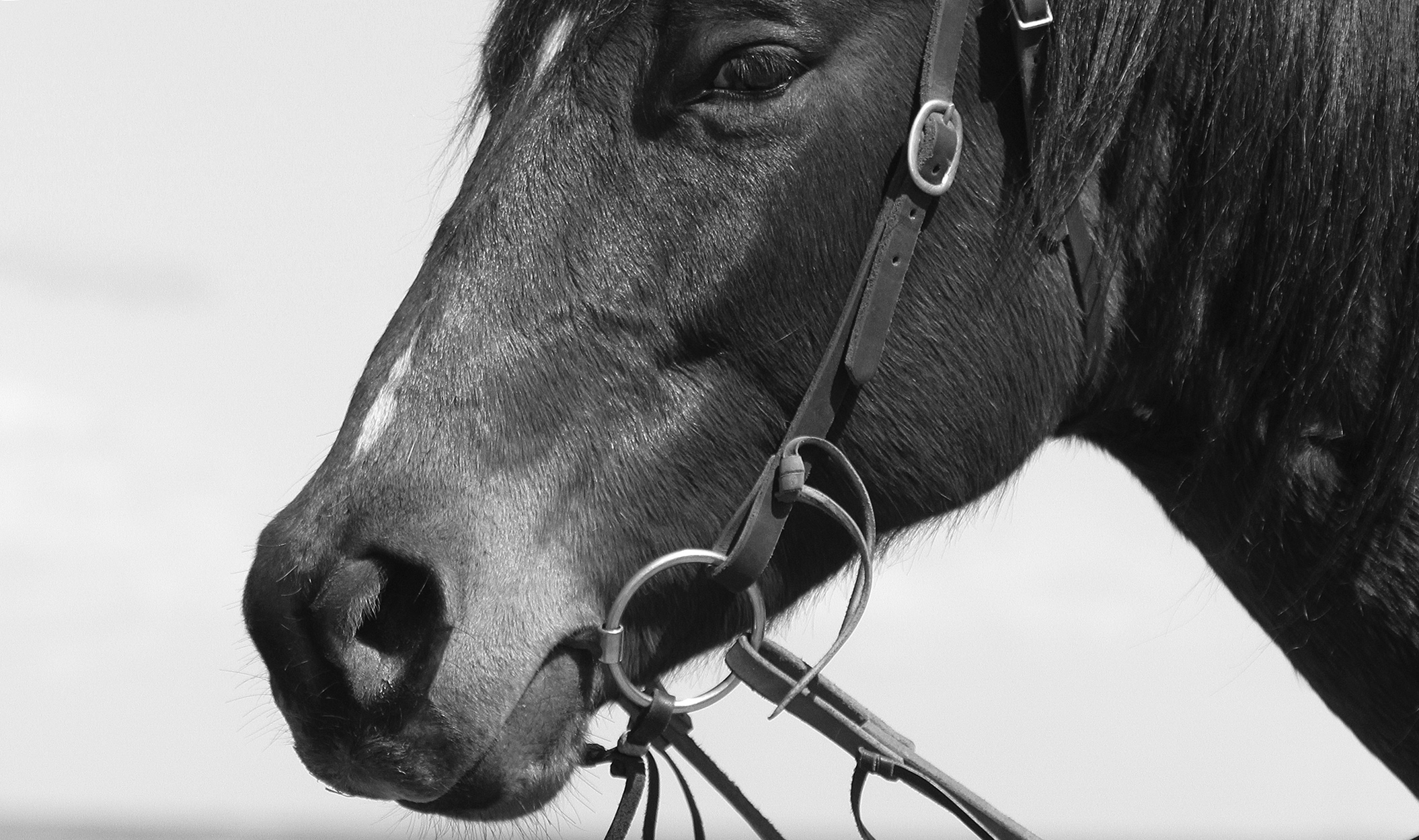 Become a better horseman by slowing down.