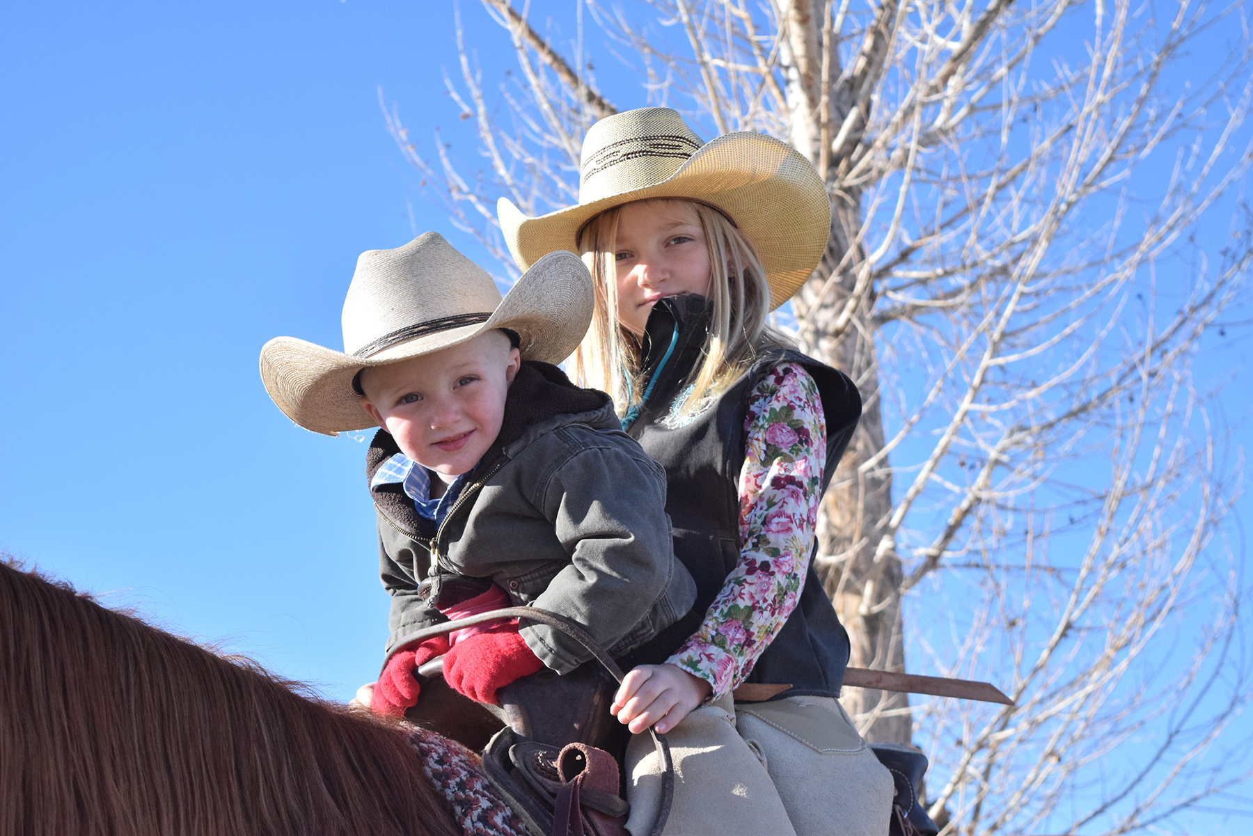 Young cowgirl, Grace Young rides on the ranch