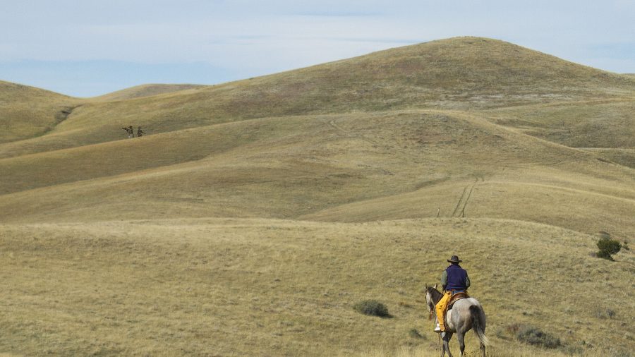 Hunters and ranchers coexist on the land