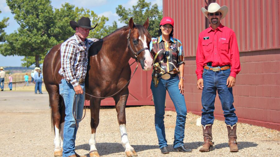 Sixes Smart Cat at the Return to the Remuda Sale