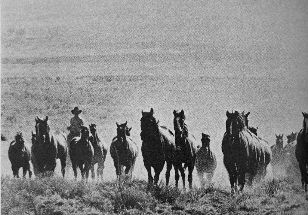 The future is shaky for the big outfit cowboy. Former Bell Ranch wagon boss Gary Morton is caught in the web of that uncertainty.
