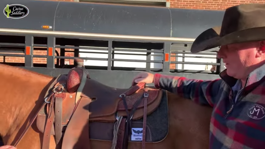 cactus saddlery