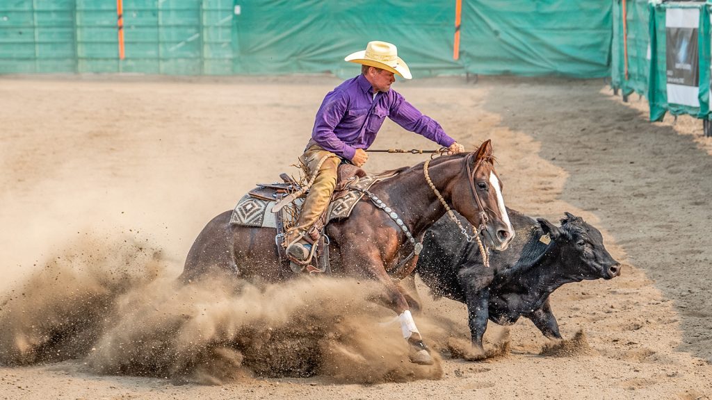 Jaton Lord showing a reined cow horse.