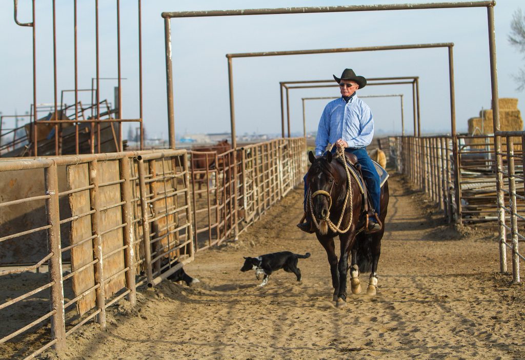 Doug riding through the pens.