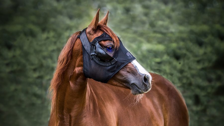 equilume equine mask