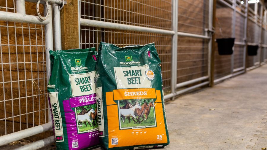 standlee beet pulp