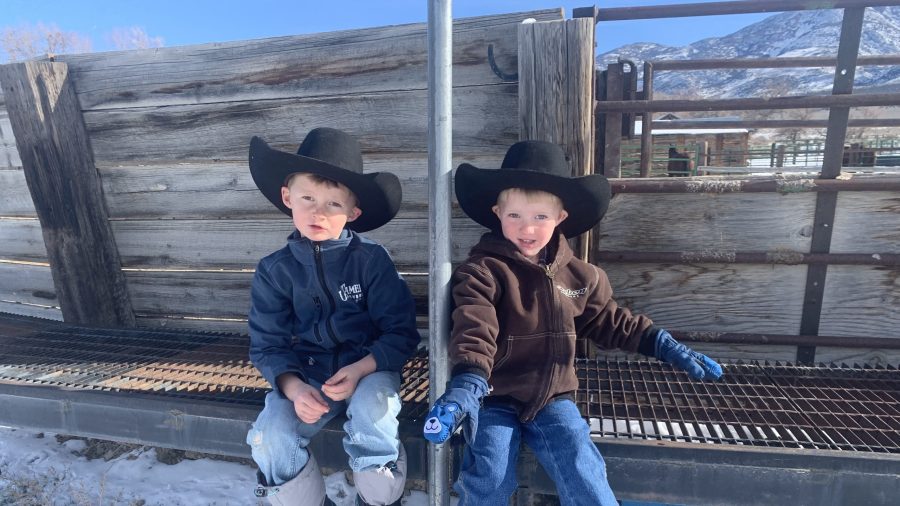Jolyn Young Cowboy Kids