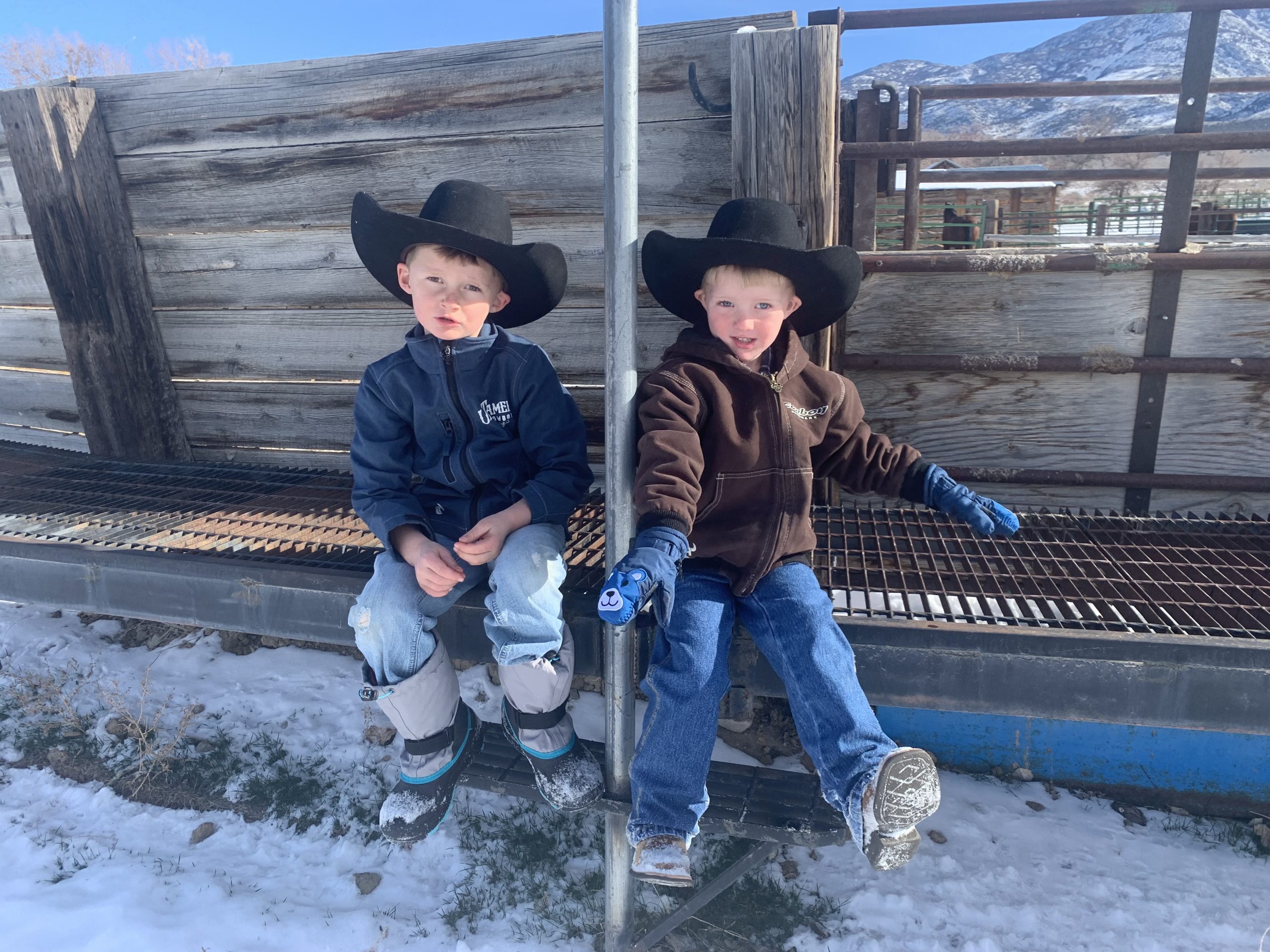 Jolyn Young Cowboy Kids