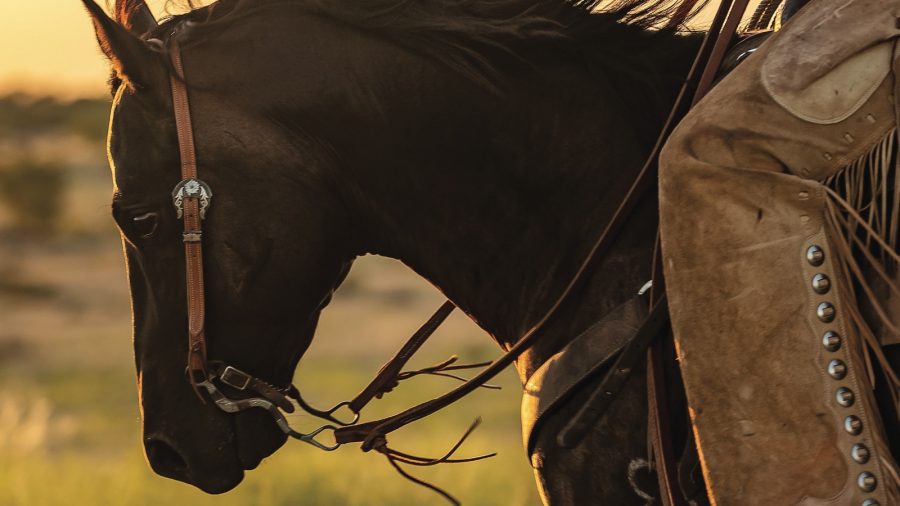May 2022 Western Horseman Cover